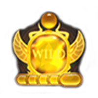 Wild Reels