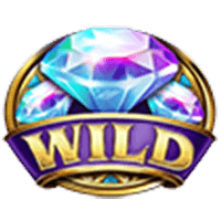 Wild Symbol